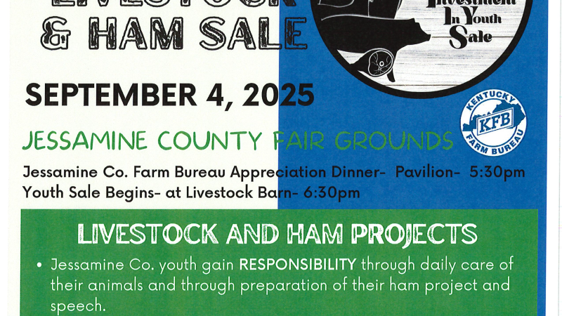 livestock sale flyer